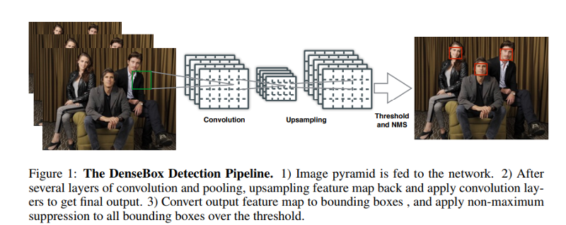 DenseBox