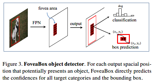 FoveaBox